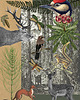 grafiki i ilustracje Kolaż Muricata - Leśny Plakat 1