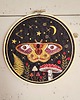 Ozdoby na ścianę Magiczna ćma na nocnym niebie  3