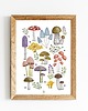 plakaty Plakat Grzyby 1