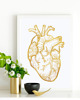 plakaty Plakat Anatomiczne Serce, Złota Folia  3