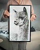 grafiki i ilustracje Lama 4