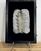 inne Ceramiczny obraz - Brzoza 4