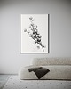 grafiki i ilustracje Kwiaty bawełny 50x70 cm 1