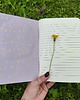 notatniki i albumy Notes patchwork fungi 2