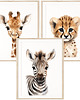 obrazy i plakaty do pokoju dziecięcego Zestaw 3 plakaty portrety zwierząt Safari żyrafa, gepard, zebra  wzory !!! 1