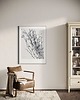 grafiki i ilustracje Bazie / print 4
