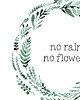 plakaty Plakat - No rain no flowers A3 3