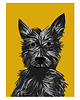 grafiki i ilustracje Psi portret 1