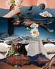plakaty Plakat Summertime sadness (illusions) 2