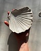 pojemniki na biżuterię Handmade Muszelka na Biżuterię Ceramiczna Rustic Naked Beige 5