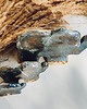 figurki i rzeźby Ceramiczny mały słoń dekoracyjny 2