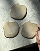 talerze, miski Ceramiczny Zestaw 3 Płaskich Muszli Podstawka na Łyżkę 5