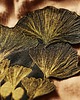 naszywki na ubrania GINKGO - duża naszywka 1