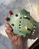 mydelniczki Ceramiczna Mydelniczka z Odpływem Muszelka Muszla Jasno Zielona 4