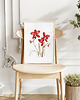 obrazy Orchidea Czerwona 001 - akwarela botaniczna 1