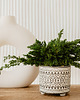 doniczki Doniczka z roślinami stabilizowanymi mech - bonsai duży 6