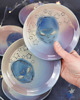 patery i talerze OUTER SPACE Talerzyk Deserowy 2
