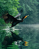 plakaty Plakat - Nature 4 1