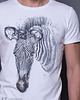 t-shirty męskie T-shirt ZEBRA 3