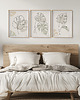 plakaty Zestaw 3 stylowych plakatów w stylu Boho, rośliny, monstera, line art. 2