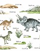 naklejki ścienne do pokoju dziecka Naklejki na ścianę Dinozaury - Triceratops, Stygimoloch i Raptor A211 1