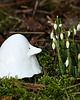 figurki i rzeźby Buka ceramiczna mini  - 2 2