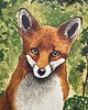 grafiki i ilustracje Wydruk akwareli lisek A4 1
