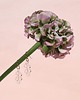 kolczyki szklane Flora - kolczyki kłosy 5