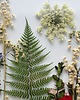Ozdoby na ścianę Prezent dla Nowożeńców- Botaniczny Obraz 2