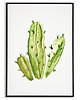 plakaty Plakat KAKTUS, grafika, obraz BOTANICZNY zielony 2 3
