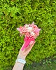 wianki Flowerbox mini suszki mix 1