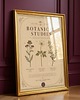 grafiki i ilustracje Vintage grafika botaniczna zioła 6