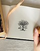 stemple DRZEWO OLIWNE - Pieczątka Ex Libris 1