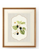 grafiki i ilustracje 3 PLAKATY truskawki galeria botaniczne owoce 5