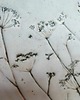 patery i talerze Talerz ceramiczny z Kwiatami patera ręcznie wykonana 3