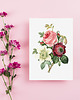 plakaty Plakat Vintage Flowers 5