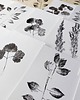 grafiki i ilustracje Grafika plakat print roślinny 1