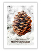 plakaty Plakat Frosted pine cone 2
