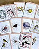 kartki okolicznościowe - wydruki Kosy w jarzębinie- Kartka- Grafika- Ilustracja- Ptaki 6