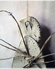 Chrzest - inne Aniołek ceramiczny na chrzest, komunię, ślub #1 2