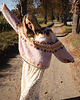 swetry damskie  Sweter Aurissa 9
