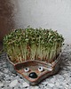 kuchnia - różne Ceramiczny jeżyk na rzeżuchę handmade 3