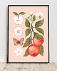 plakaty Plakat "Jabłka"jasnoróżowe tło 30x40 cm 1