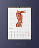 kalendarze i plannery Kalendarz Anatomiczny 2022 9