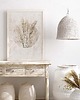 plakaty Plakat Boho z Trawami 1