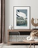 plakaty Plakat Vintage ptak 2 1