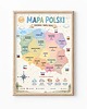 obrazy i plakaty do pokoju dziecięcego Plakat edukacyjny MAPA POLSKI dla chłopca 1