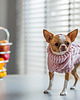 ubranka dla zwierząt Wooldog Supreme Pudrowy Róż 3