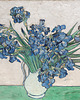magnesy Irysy - Van Gogh - magnes 1