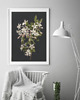 plakaty DWA PLAKATY BOTANICZNE vintage kwiaty ilustracje 3